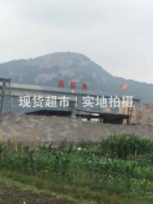 温州新远光钢业有限公司