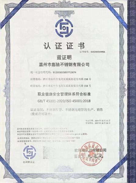 温州市彪驰不锈钢有限公司,职业健康安全管理体系