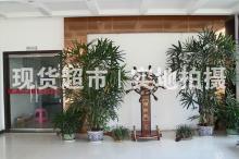 福建邦特钢管有限公司,办公大厅